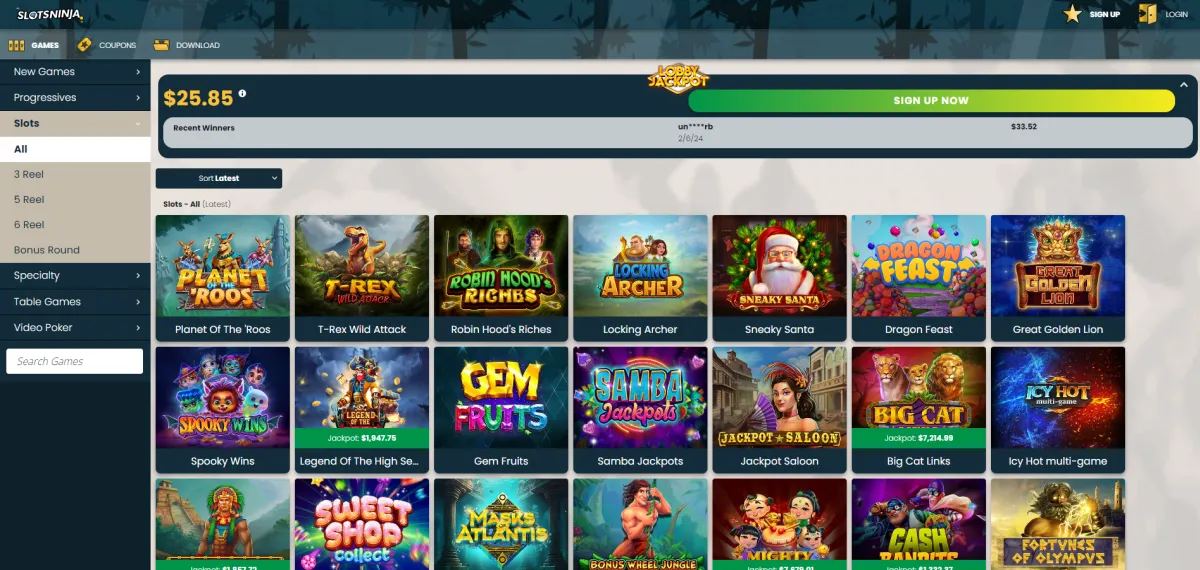 Slots Ninja Casino Website view