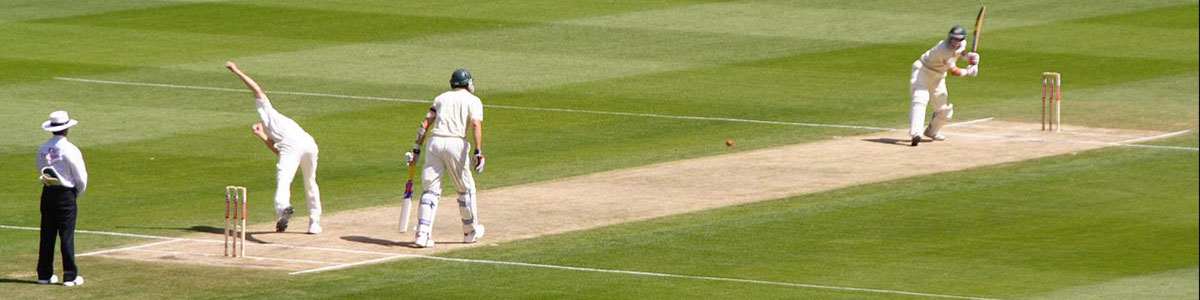 cricket image