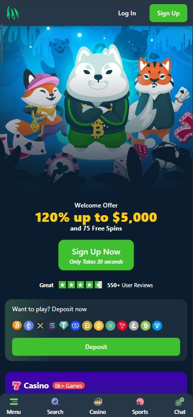 Wild.io Casino Mobile